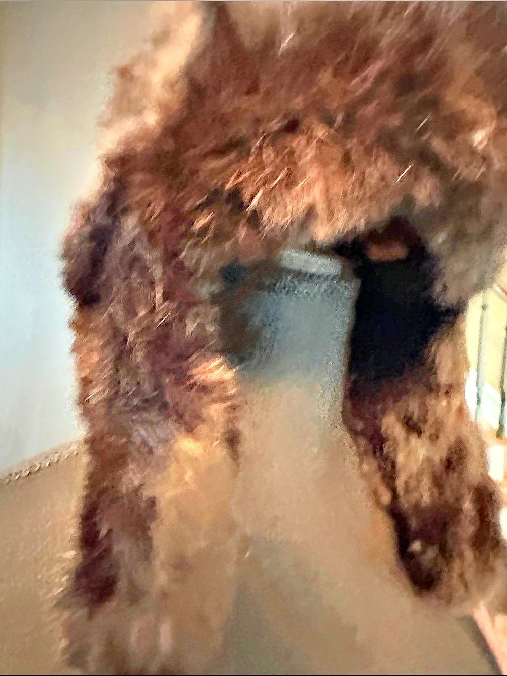 Vintage Brown rabbit Fur Hat with ear covering Small